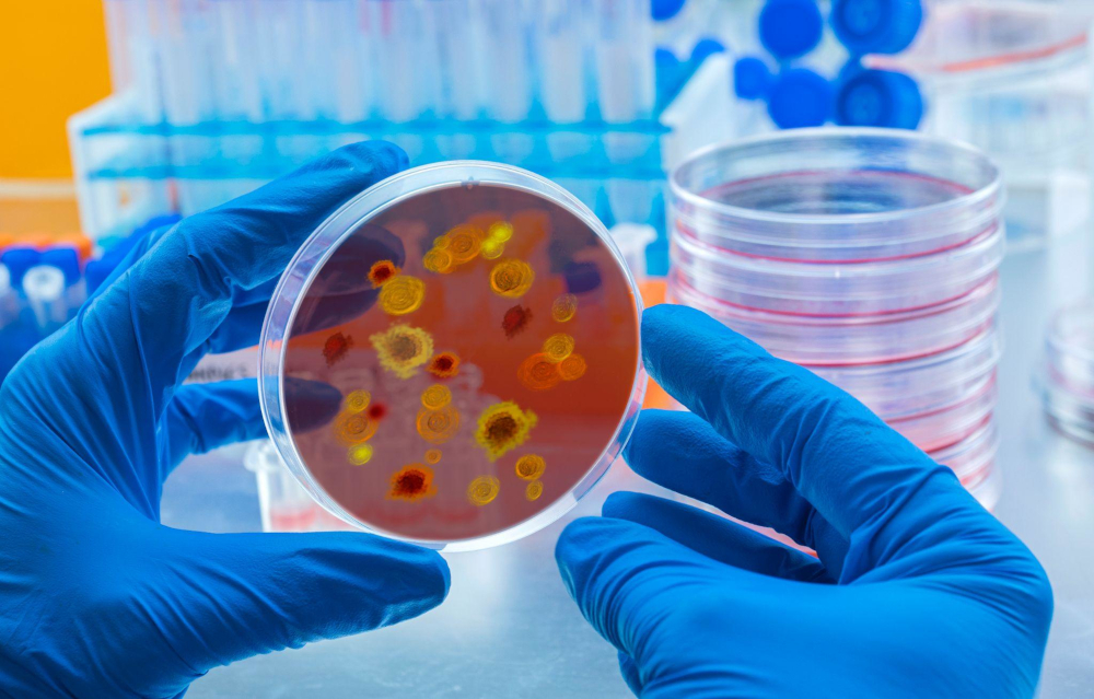AI image  of germ cells in a petri dish